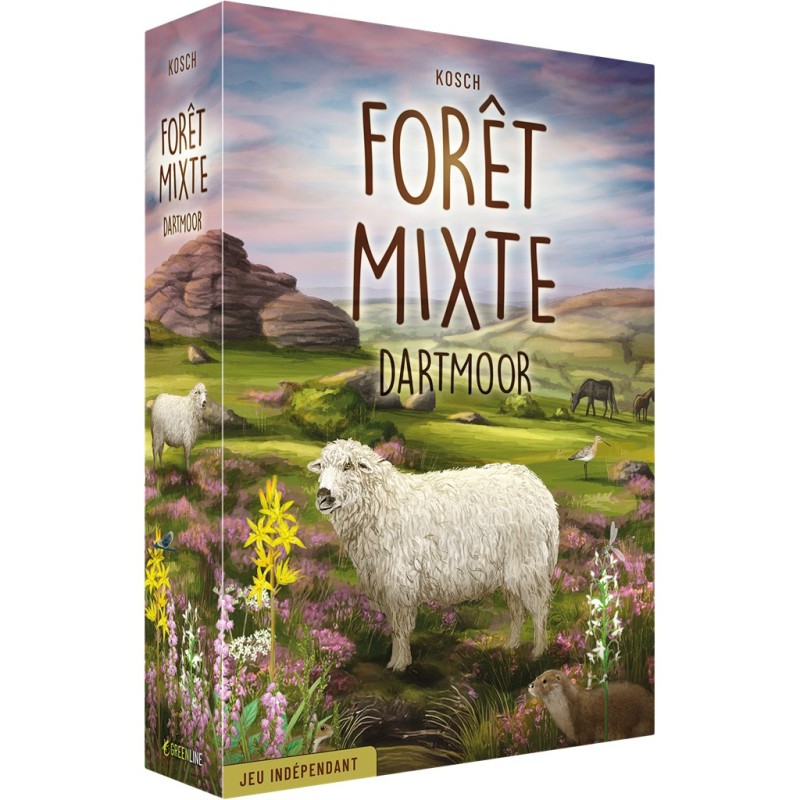 Forêt Mixte : Dartmoor