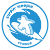 Surfin Meeple